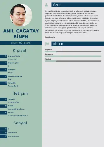 Ziraat Mühendisi Cv Örnekleri cv indir